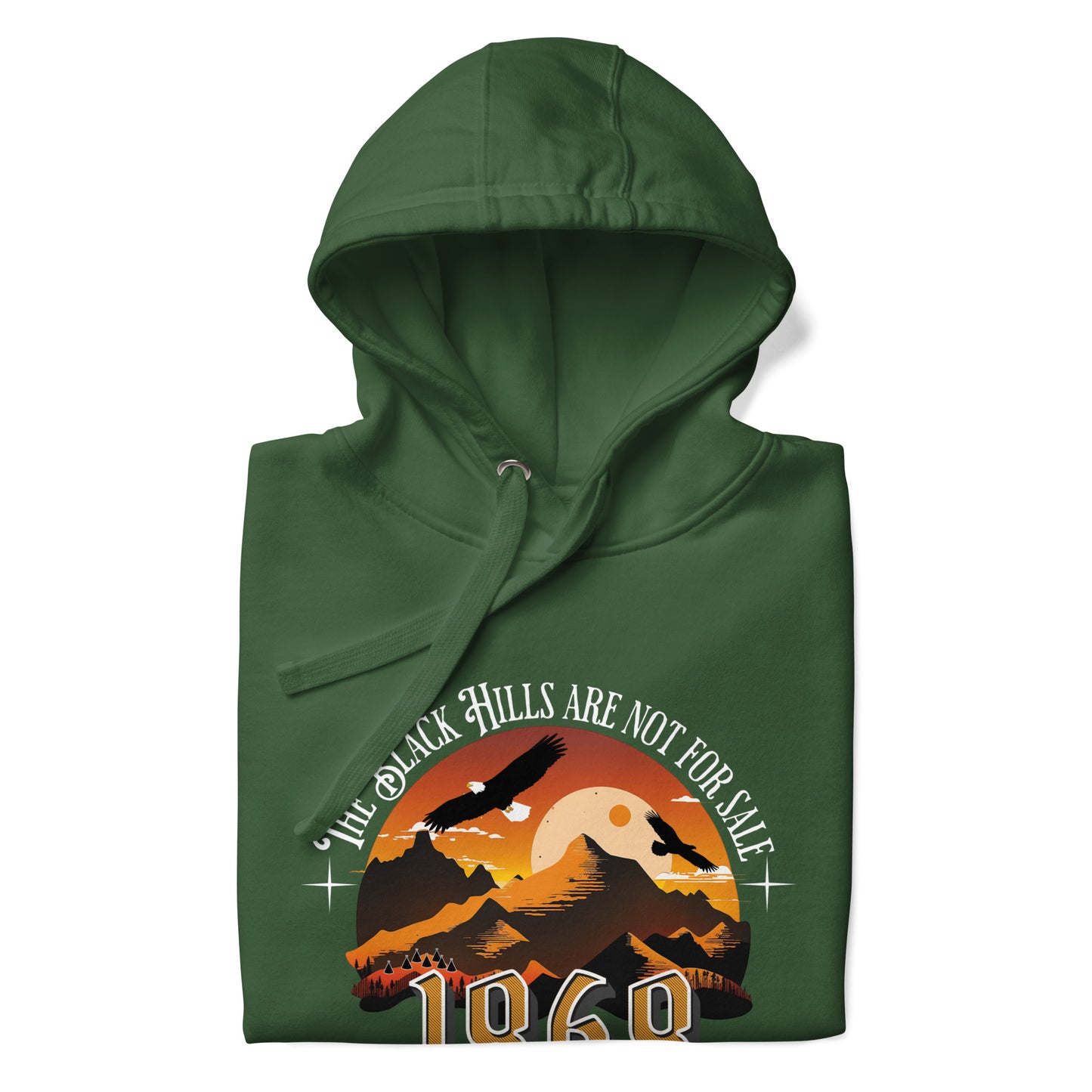 The Black Hills Are Not for Sale Hoodie