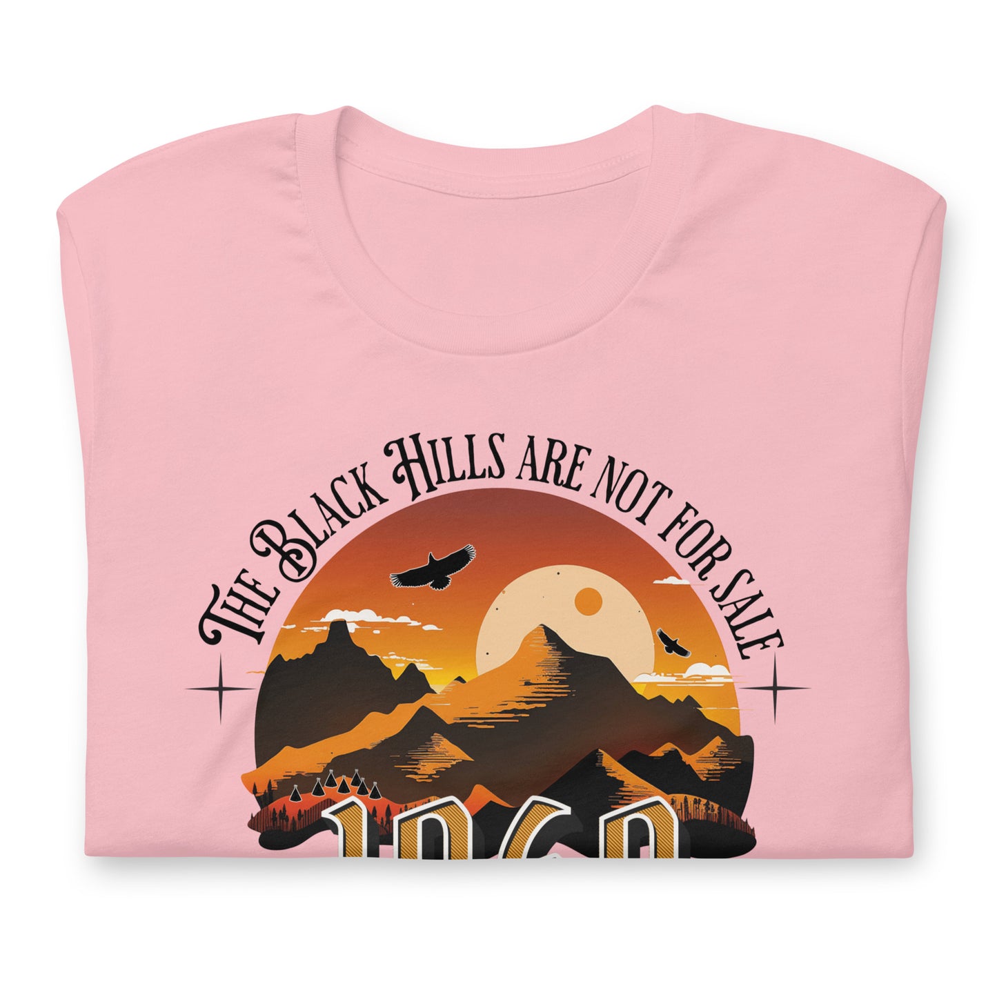 The Black Hills Are Not For Sale t-shirt