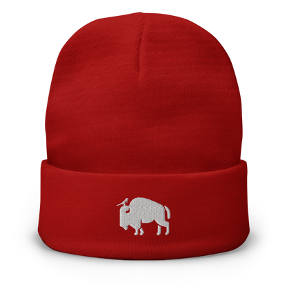 Red Road Racers Beanie